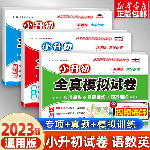 小升初分班全真模拟试测试卷