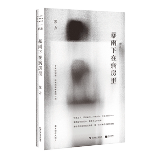 官方正版 暴雨下在病房里 单读系列苏方短篇小说集收录上海文艺出版社现当代文学 另著一些时刻 异乡记 畅销书籍上海文艺出版社