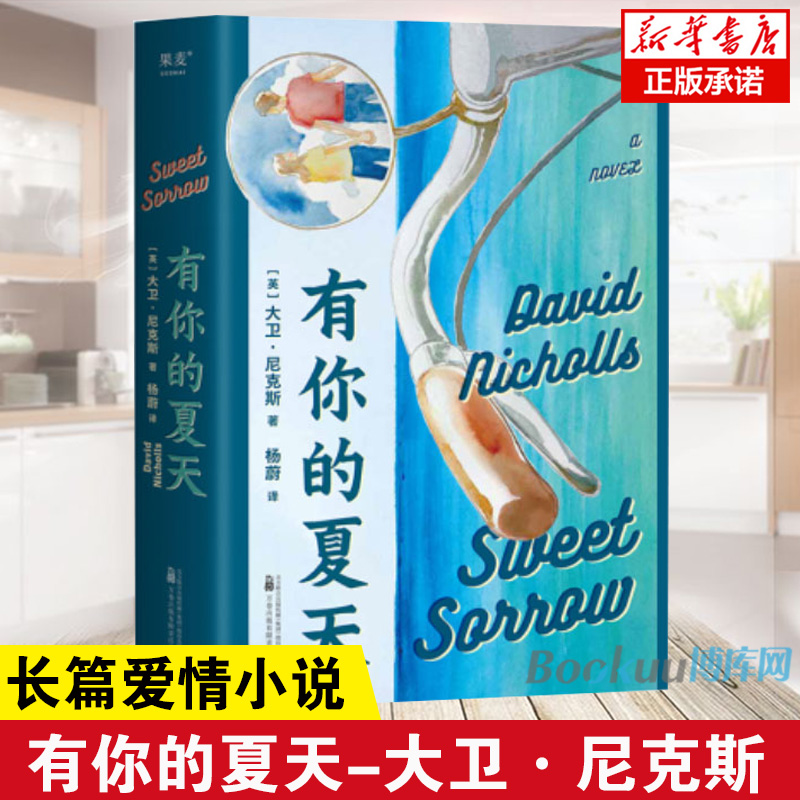 有你的夏天 大卫·尼克斯著 现代长篇小说外国文学   当爱消散的那  爱情 感情情感 校园 青春 初恋成长亲情外国小说书籍正版