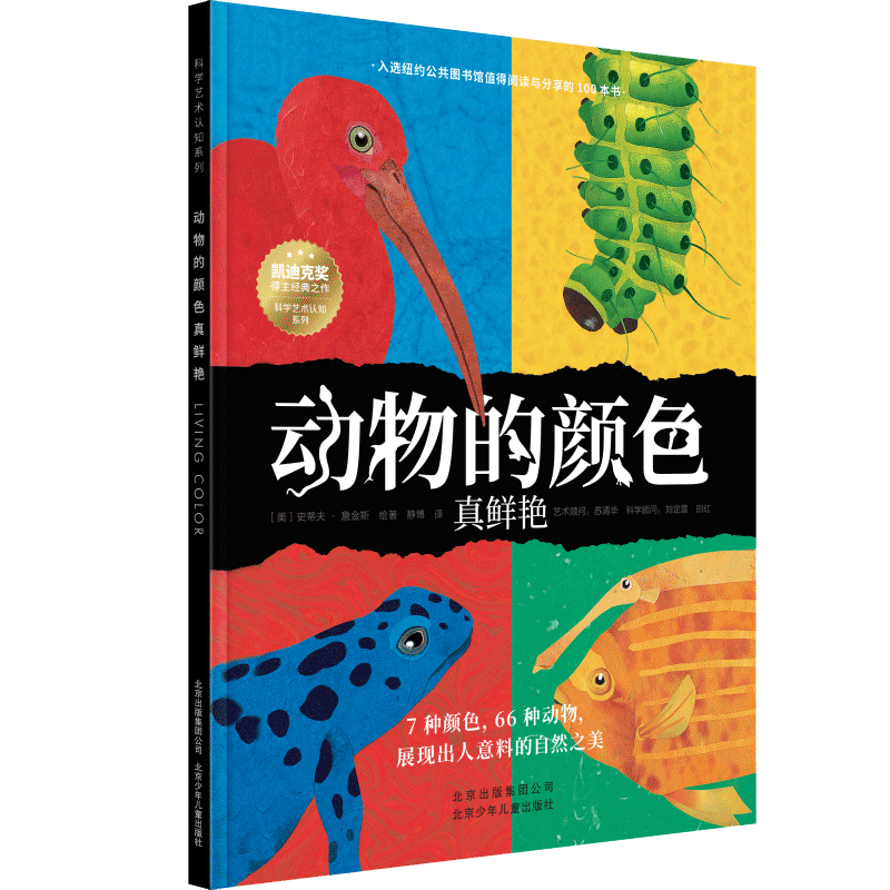 动物的颜色真鲜艳 科学艺术认知系列 6-8-10岁青少年动物野生课外科普读物 小学生三四五年级课外书籍 想象力美育科普课
