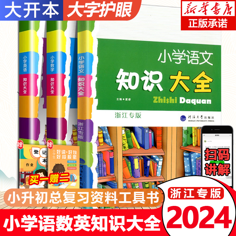 2024小学语文知识大全全国通用浙江专版人教版小学生一二三四五六年级小升初资料包大集结基础知识集锦词语手册教辅学习资料工具书