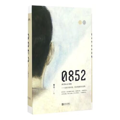 0852(上下) 特签飞机盒 博库网