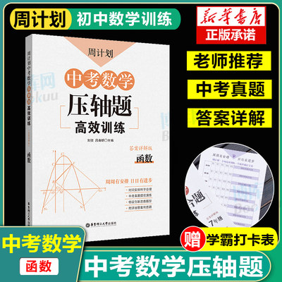 中考数学压轴题高效训练函数专题训练刷题附答案详解试卷历年真题解题思路初中初三九年级题型全归纳练习专项突破总复习周计划