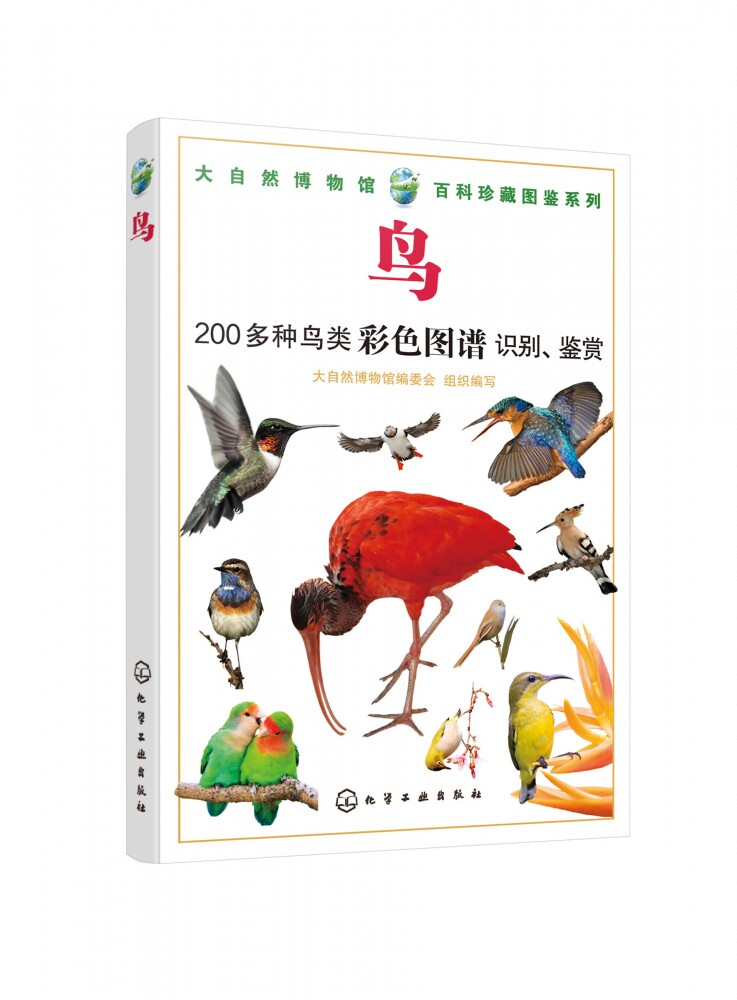 收录鸣禽陆禽猛禽 鸟类生活环境习性繁殖特点知识大全图鉴图书