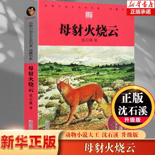 【2017沈石溪动物小说新作】母豺火烧云 彩插本 动物小说大王沈石溪品藏书系 7-10-12岁儿童文学青少年小学生课外书动物故事书籍