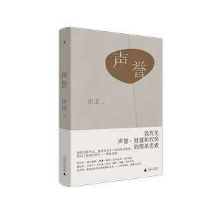 正版 理想国 声誉 唐诺作品 我有关声誉 财富和权势的简单思索 漫游在交叉小径的阅读密林 中国文学随笔作品集 广西师大出版社