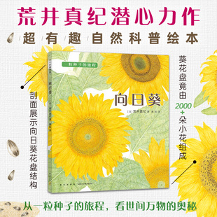 系列03 2017年布拉迪斯拉发插画双年展 儿童3 一粒种子 6岁绘本图画书 植物学博士史军推荐 旅程 金苹果奖得主作品 向日葵 BIB