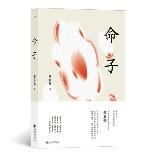命子  第十三届香港书奖获奖作品 香港重要中生代作家董启章 博库网 - 封面