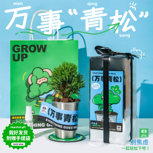 涂鸦造物 x 博库 放青松创意雾凇植物盆栽办公室桌面绿植摆件礼物