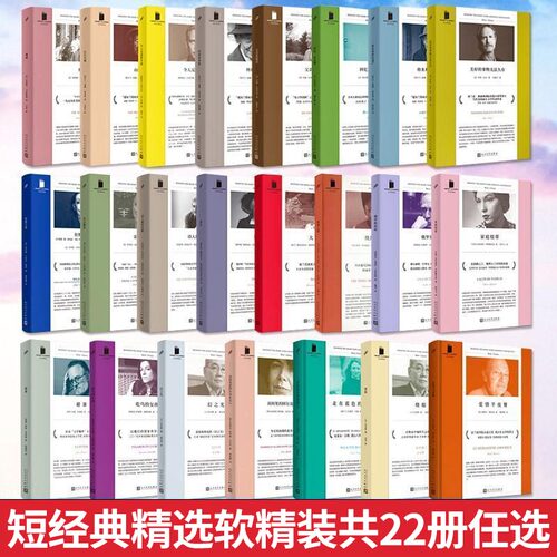 全套任选 短经典精选系列 当我们不再理解世界炽焰燃烧 爱因斯坦的怪兽迷宫诗人继续沉默狂野之夜烧船雨后 外国文学小说畅销书籍