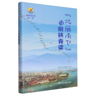 湘钢故事(第一辑)-“北雁南飞”与钢铁脊梁 博库网