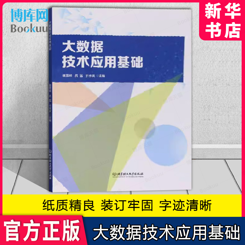 大数据技术应用基础正版