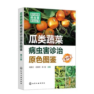 绿色防控蔬菜病虫害 第三版 博库网 瓜类蔬菜病虫害诊治原色图鉴 现代蔬菜病虫害防治丛书