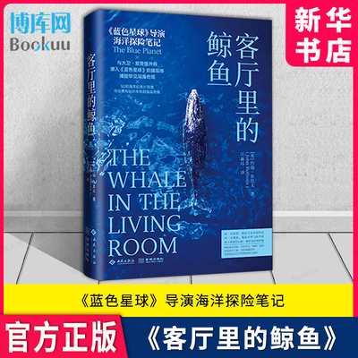 客厅里的鲸鱼海洋探险笔记