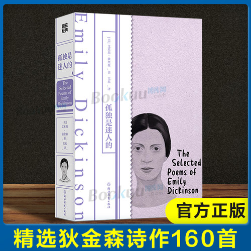 孤独是迷人的正版小说书籍