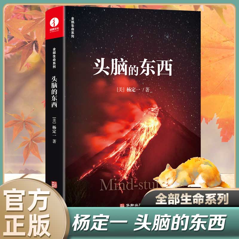 头脑的东西 杨定一的书好睡神圣的你真原医时间的陷阱静坐的科学转折点丰盛同作者书籍 新科学个人心灵成长心理励志颉腾 书籍/杂志/报纸 励志 原图主图