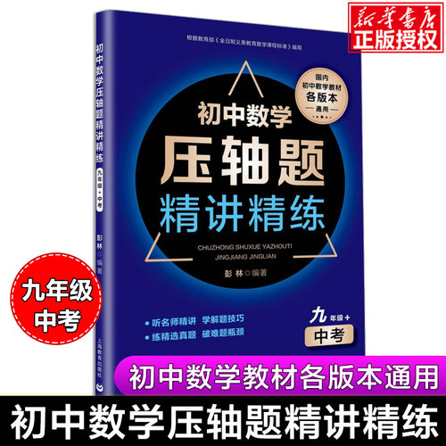 初中数学压轴题精讲精练 九年级+中考 初三数学必刷题总复习历年难度大题 9年级数学专项专题训练练习中考冲刺提升教辅资料书 彭林
