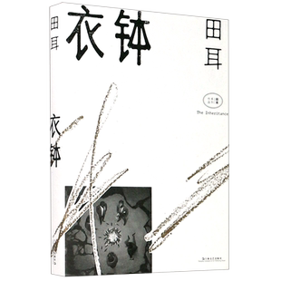 衣钵 田耳作品集 天体悬浮 环线车 易烊千玺钟爱的作家一个人张灯结彩 鲁迅文学奖郁达夫小说奖得主 田耳中长篇小说集畅销书