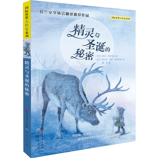 精灵与圣诞的秘密  获奖大作家系列芬兰文学协会中译班主任 作品 儿童文学世界经典读物8-10-12-14岁小学生课外阅读书籍