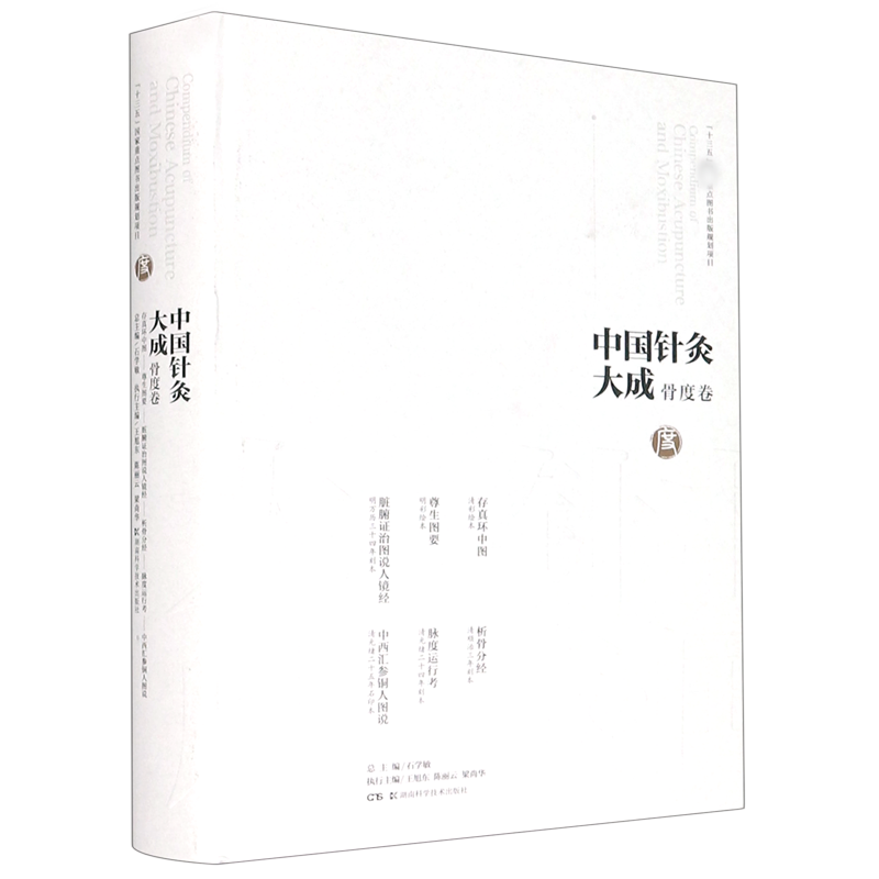 中国针灸大成(骨度卷存真环中图尊生图要脏腑证治图说人镜经析骨分经脉度运行考中西汇 官方正版 博库网