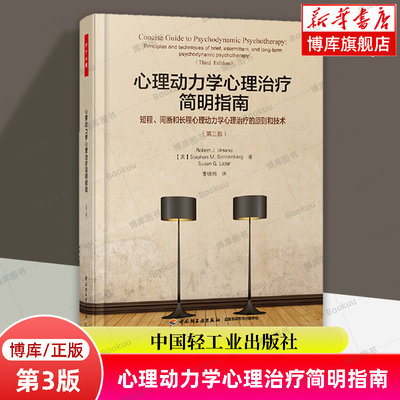 心理动力学心理治疗简明指南 短程、间断和长程心理动力学心理治疗的原则和技术 第3版 中国轻工业出版社 心理学正版书籍 博库网