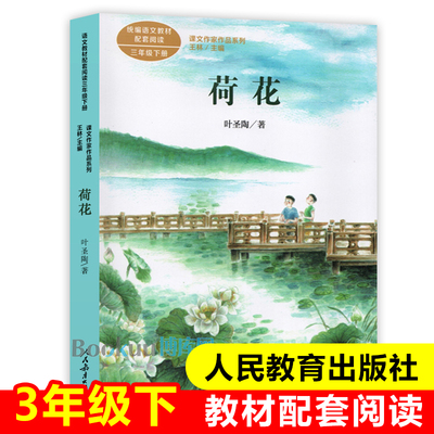 人教版荷花叶圣陶著