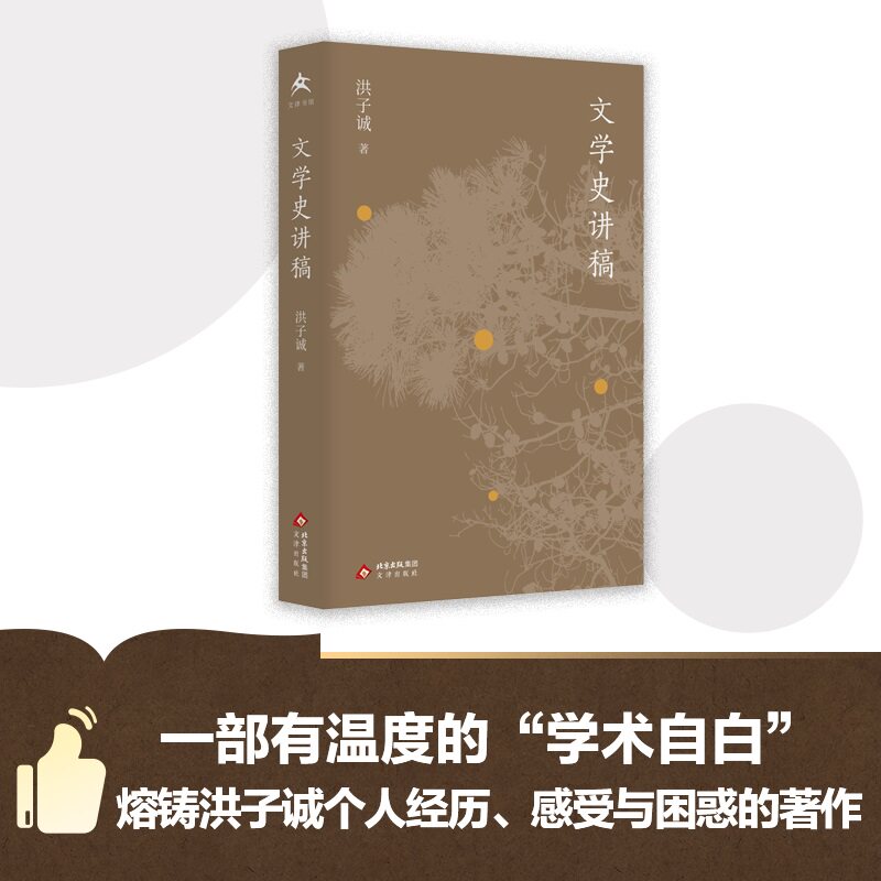 文津书馆 文学史讲稿 一部熔铸洪子诚人生经历、感受、思考和困惑的著作 博库网图片