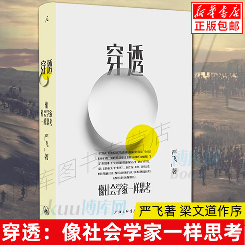 正版 穿透：像社会学家一样思考 清华大学社会学家严飞著 钱颖一、刘瑜、郝景芳 ，梁文道作序 社会学小说集 理想国 博库网