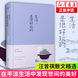 生活是很好玩 汪曾祺散文精选 沈从文 官方正版 2024新版 发现生活之美 现当代青春文学散文随笔集畅销书籍排行榜 读汪曾祺