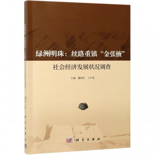 绿洲明珠--丝路重镇金张掖社会经济发展状况调查 博库网