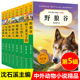 雪域神豹 野狼谷 15岁儿童文学三四五六年级小学生少儿故事书品藏书系 沈石溪动物小说系列第五辑全8册中外动物小说升级版