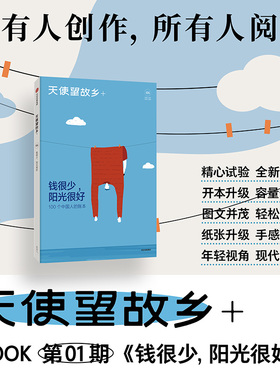 钱很少 阳光很好 邱兵王帅编著 天使望故乡 MOOK第一期 所有人创作 所有人阅读 100个中国人的账本 中信出版社图书 正版