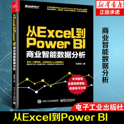 从Excel到Power BI 商业智能数据分析 PowerBI入门书籍 Power BI 操作教程 Power Query数据查询工具 excel数据分析