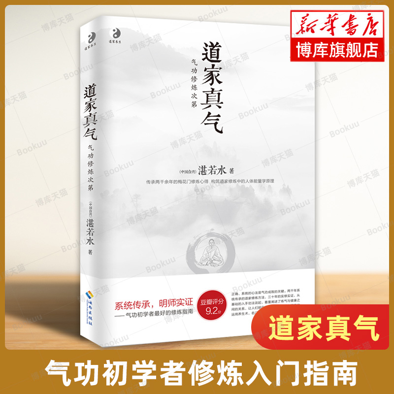 道家真气 气功修炼次第 湛若水 传承两千余年的梅花门修炼心得 气功初学者修炼入门指南书籍 道家内丹之道 中国文化 海南出版社