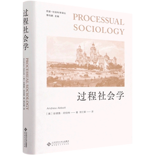 过程社会学(精)/历史-社会科学译丛