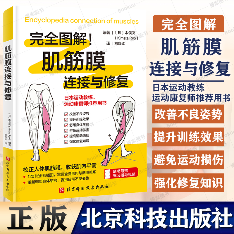 肌筋膜连接与修复改善不良姿势