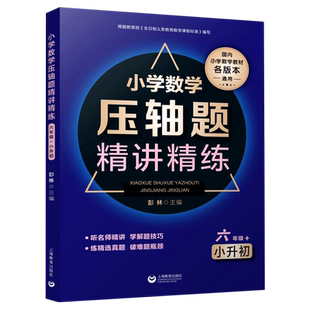 小学数学压轴题精讲精练 六年级+小升初 国内小学数学教材各版本通用听名师精讲 学解题技巧 练精选真题 破难题瓶颈上海教育出版社