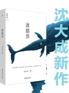 迷路员 沈大成新作 青年作家 当代文学短篇小说书 宝珀理想国文学奖 小行星行星掉在下午作者 短篇小说书籍正版