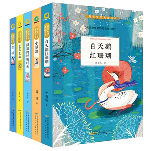 陈伯吹奖典藏书系共5册 小城池 白天鹅红珊瑚 同窗妩媚时光 走出麦地 青碟 三四五六年级小学生课外阅读书籍儿童文学读物寒假正版