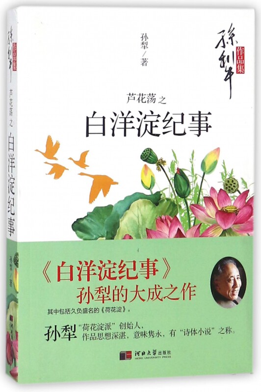 芦花荡之白洋淀纪事 孙犁作品集  中小学生课外阅读书籍 中小学生文学