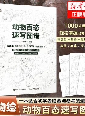 动物百态速写图谱动物速写描摹