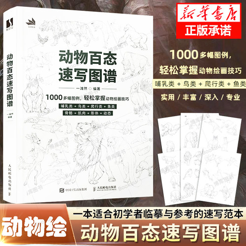 动物百态速写图谱动物速写描摹