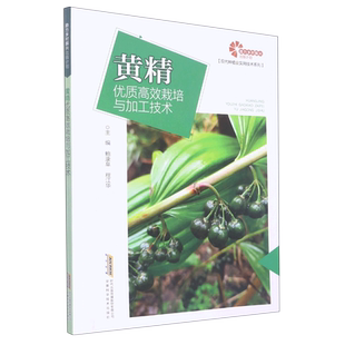 助力乡村振兴出版计划 现代种植业实用技术系列 黄精优质高效栽培与加工技术 博库网