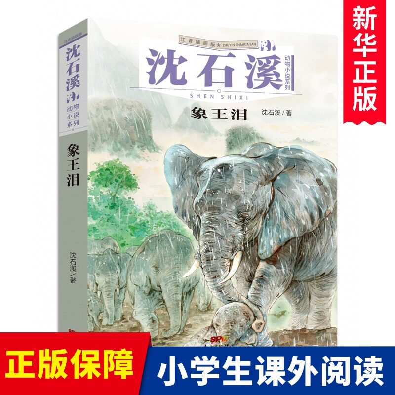 象王泪注音版2022寒假读一本好书沈石溪动物小说系列广东省 书目一二
