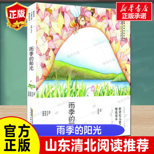 雨季的阳光 新世纪儿童文学精选读本 方卫平 中国儿童文学成长校园小说 三四五六年级课外书儿童文学读物9-12岁小学生课外阅读书籍