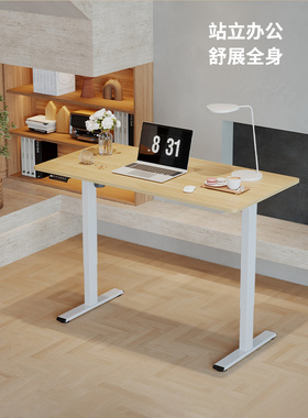 乐歌E2智能电动升降桌 居家办公书桌坐站交替电脑桌书桌学习桌