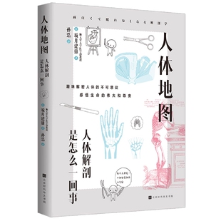 人体地图 博库网