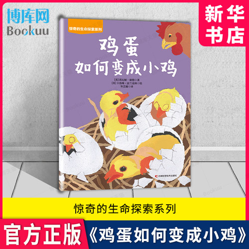 鸡蛋如何变成小鸡惊奇的生命探索