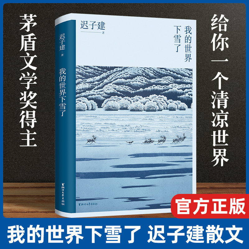 假期推 荐】我的世界下雪了 迟子建散文系列 现当代随笔传记名家经典散文集作品选集 青少年课外阅读精选文学畅销书籍/正版怎么样,好用不?