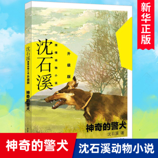 中小学生三四五六年级课外阅读畅销书籍少儿6 神奇 12岁励志成长青少年儿童文学故事 警犬 沈石溪激情动物小说升级版